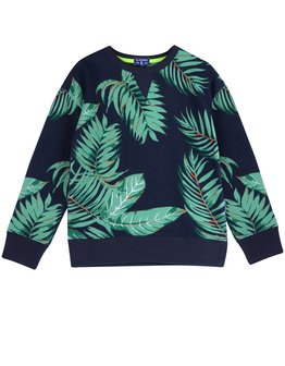 claesen&#039;s sweater leaf
