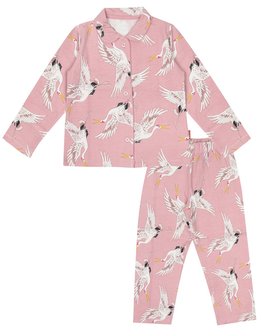 Claesen&#039;s pyjama crane