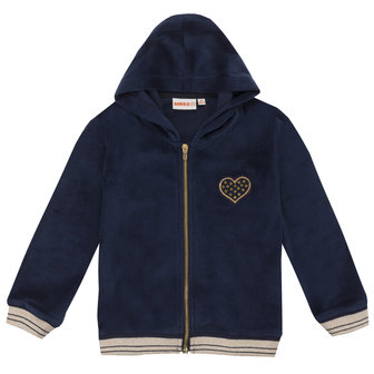 UBS2 Hoody Blue Gold