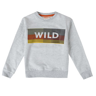UBS2 Sweater Wild