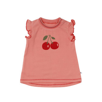 DB t-shirt cherry