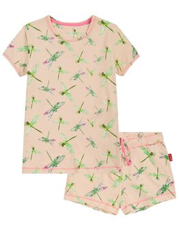 Claesen&#039;s pyjama poppy dragonfly
