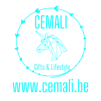 VIP SALE Stationsstraat 135