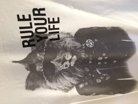 EBOUND t-shirt teen boys lion