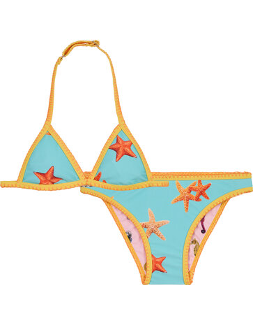 Claesen's Bikini Sea Star
