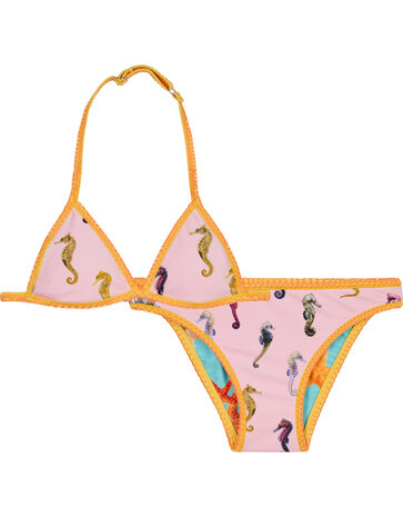 Claesen's Bikini Sea Horse