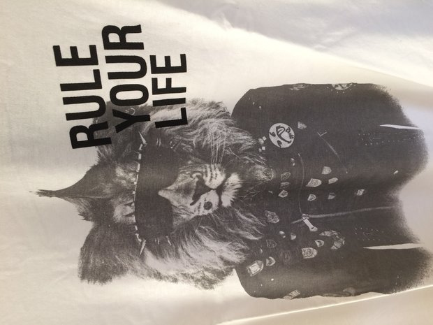 EBOUND t-shirt teen boys lion