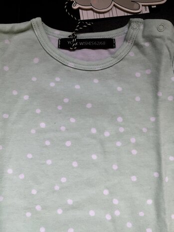 Your Wishes Longsleeve Dotted Mint