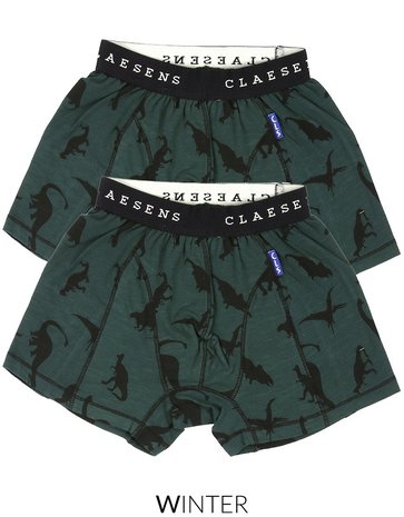 2-pack boxershorts Green Dino Claesen's CEMALI