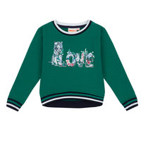 UBS2 Trui Love Groen 