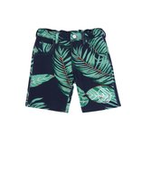 Claesen's Short Leaf 