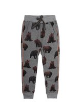 Claesen's Broek Bear