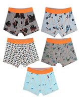 Claesen's Boxers Animal