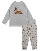 Claesen's Pyjama Deer