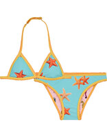 Claesen's Bikini Sea Star Horse