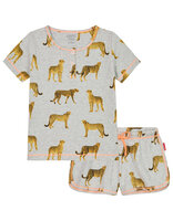 Claesen's pyjama cheetah 