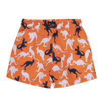 UBS2 Zwemshort Kango