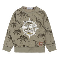 Dirkje Trui Adventure Dino