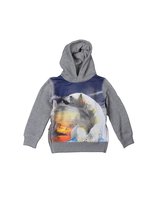 Claesen's Hoody IceBear