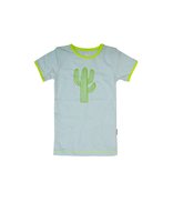 Claesen's pyjama cactus