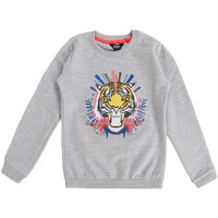 Little Miss Juliette Sweater Tiger
